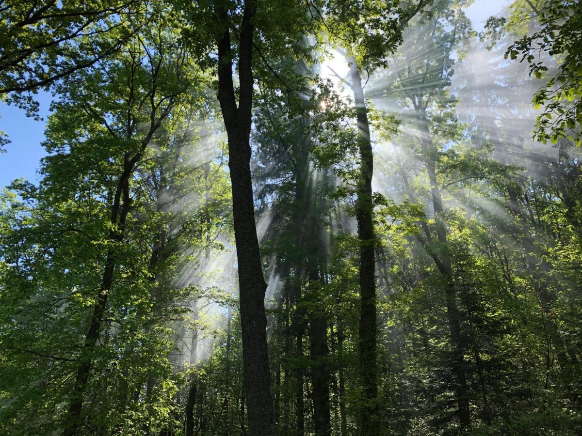 Camping Osenbach Екстер'єр фото