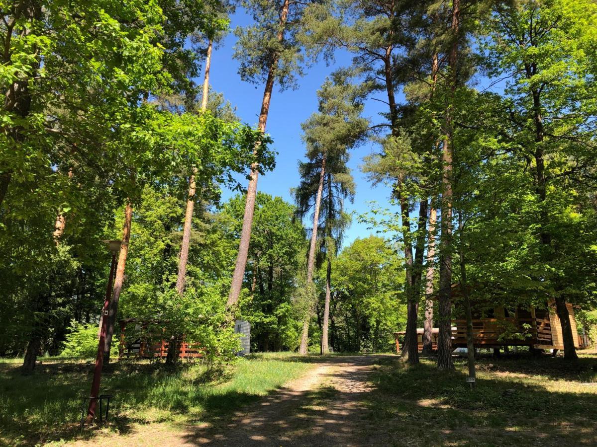 Camping Osenbach Екстер'єр фото